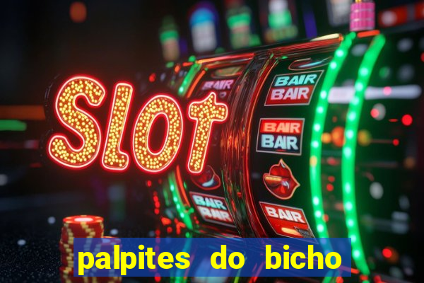 palpites do bicho no celular